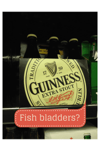 Fish bladders-