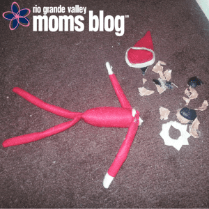 Elvie Turned Chew Toy :: YIKES!! | RGV Moms Blog