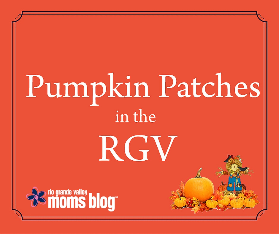 2015 Pumpkin Patches in the RGV