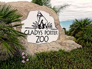 Gladys Porter Zoo Brownsville