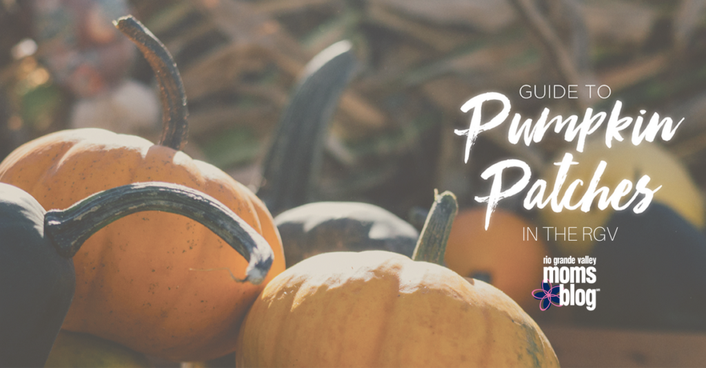 Pumpkin Patches in the RGV 2016