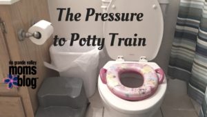 the pressure to potty train