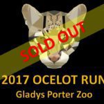 Ocelot Run