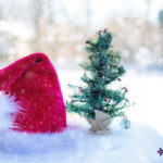 archive1-christmas-helper