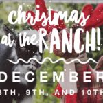 Big Reds Christmas