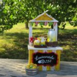 Lemonade Day City of McAllen