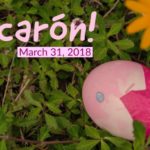 Cascaron