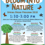 Harlingen Library Spring Break