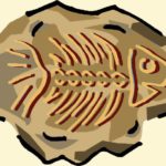 ESW Fossil Dig