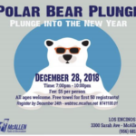 Polar Bear Plunge McAllen