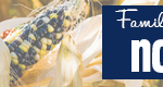 Banner-Nov-468×80