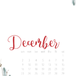 December 2018 RGVMB Calendar Background