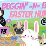 Dog Easter Egg Hunt Brownsville