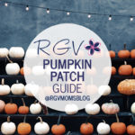 2019 RGV Pumpkin Patch Guide (rectangle)