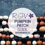 2019 RGV Pumpkin Patch Guide (square)