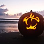 Sea Turtle Inc Trick or Treat