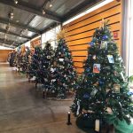 Christmas Tree Forest_Christmas in the Future