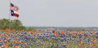 spring-break-Texas-travel-guide