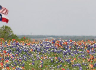 Spring Break Texas Travel Guide spring-break-Texas-travel-guide