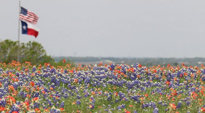 spring-break-Texas-travel-guide