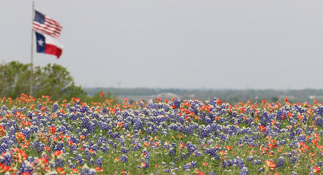 Spring Break Texas Travel Guide