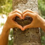 Butterfly Center Tree Mission