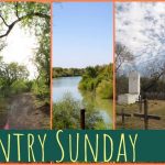Free Entry Santa Ana NWR Alamo