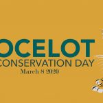 Ocelot Conservation Day
