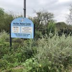 McAllen Nature Center 1B