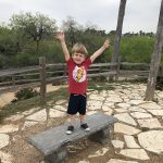 McAllen Nature Center 4