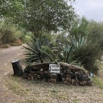 McAllen Nature Center 5