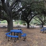 McAllen Nature Center 7