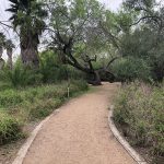 McAllen Nature Center 9
