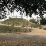 McAllen Nature Center Lantana Hill