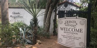 Let’s Explore: Quinta Mazatlan
