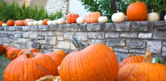 2020 RGV Pumpkin Patch Guide 2020-RGV-Pumpkin-Patch-Guide