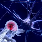 neurons-3743011_1920