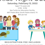 Sea Turtle Kids Night Out