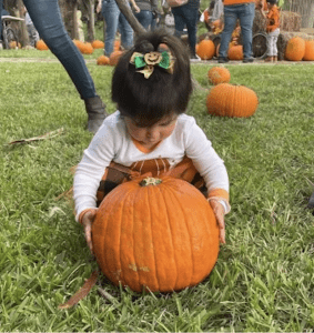 Big Red Fall Family Days & Pumpkin Patch