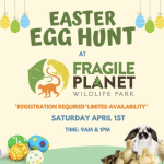 Fragile Planet Easter Egg Hunt