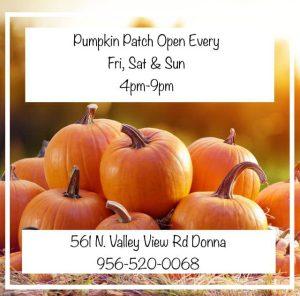 Red River Farms Pumpkin Patch Donna