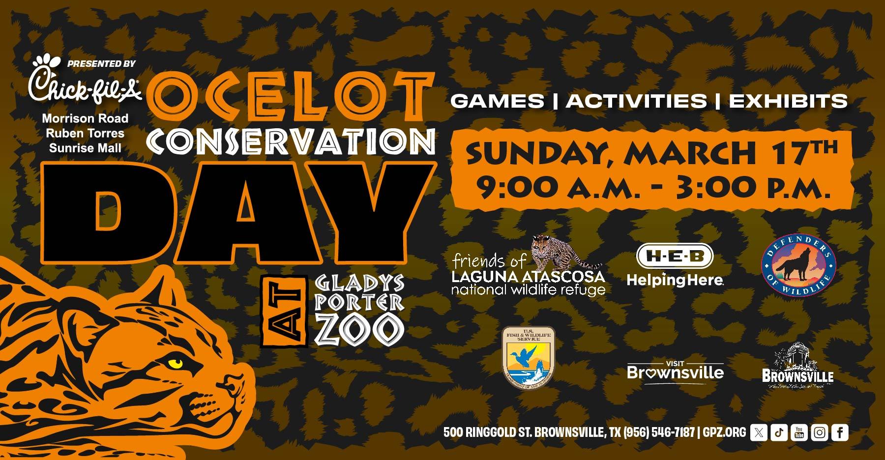 Ocelot Conservation Day Gladys Porter Zoo